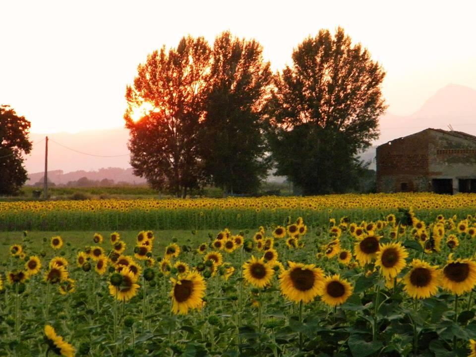 Agriturismo Settepassi Tuscany Ponte Buggianese Екстериор снимка